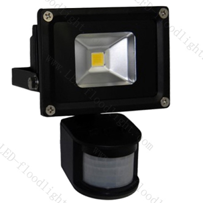 DC12V&DC24V 10W LED PIR Flood light